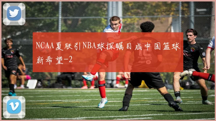 NCAA夏联引NBA球探瞩目成中国篮球新希望