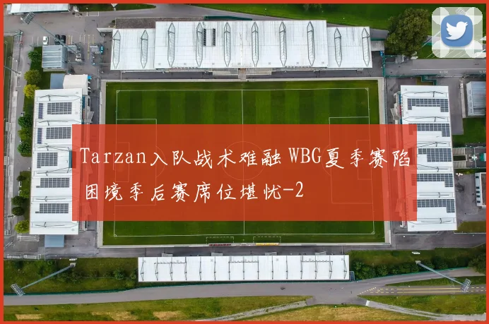 Tarzan入队战术难融 WBG夏季赛陷困境季后赛席位堪忧