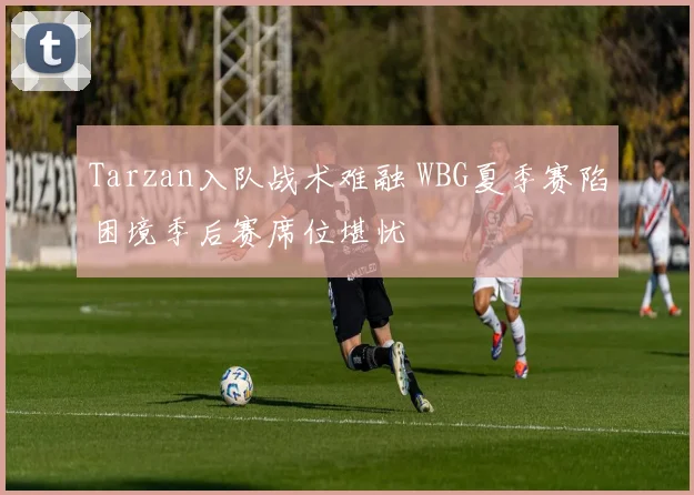 Tarzan入队战术难融 WBG夏季赛陷困境季后赛席位堪忧